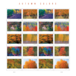 2024 Autumn Colors Forever First Class Postage Stamps