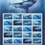 2017 Shark Forever First Class Postage Stamps