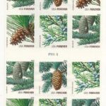 2009 Holiday Evergreens Forever First Class Postage Stamps