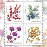 2019 Winter Berries Forever First Class Postage Stamps