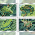 2019 Frogs Forever First Class Postage Stamps