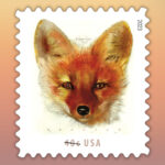 2023 Red Fox Forever First Class Postage Stamps