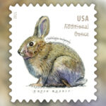 2021 Brush Rabbit Forever First Class Postage Stamps