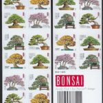 2012 Bonsai Tree Forever First Class Postage Stamps